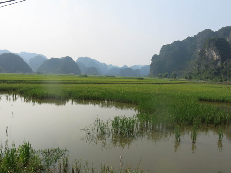 10-things-to-do-in-ninh-binh-lilys-7