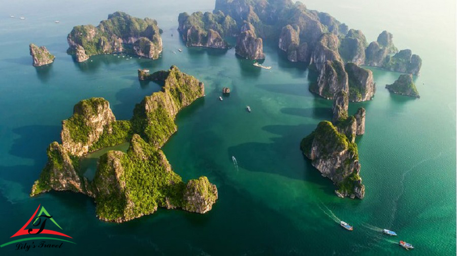 Ha Long Bay: One of the 10 stunningly scenic spots in the world - Lily's  Travel Agency