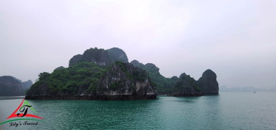 The mountain on Bai Tu Long Bay is like a small lying dragon - Source: Internet