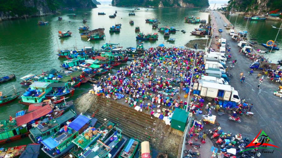 Seafood market on Hon Gai sells so many fresh seafood - Source: Internet