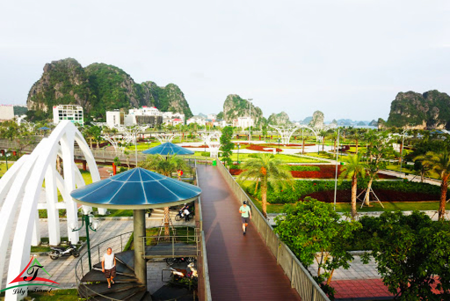 Large space in Ha Long Flower Park - Source: Internet