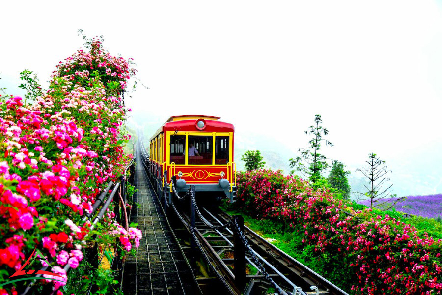 Climbing train