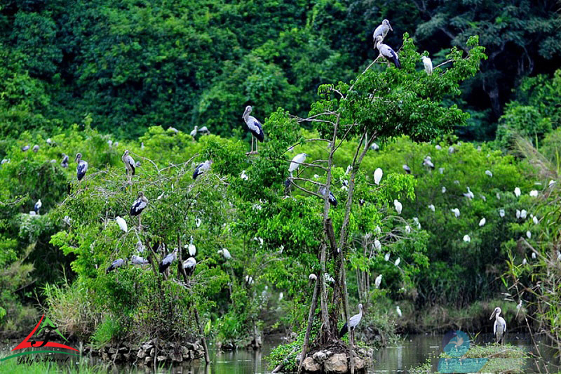 beauty sence of Thung Nham bird park