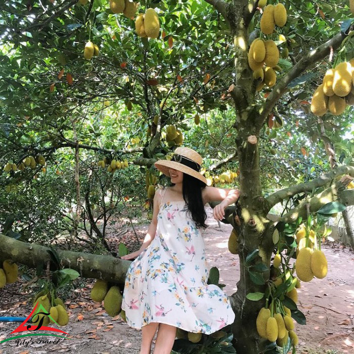 Trung An fruit garden