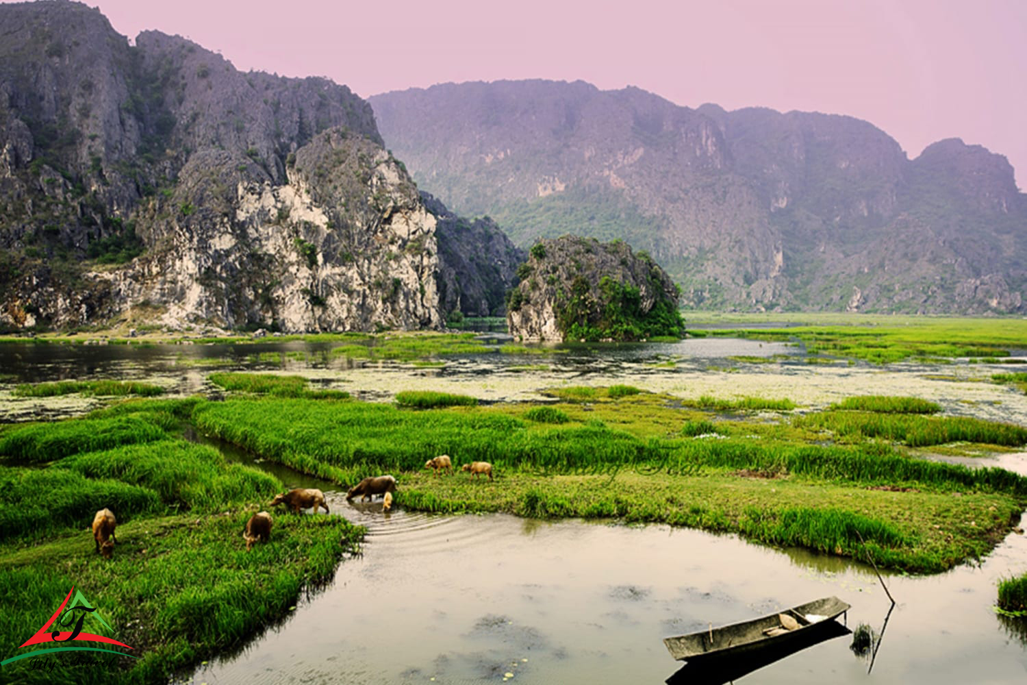 nature in van long lagoon