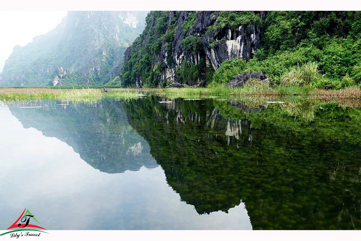 the beauty wild in van long lagoon