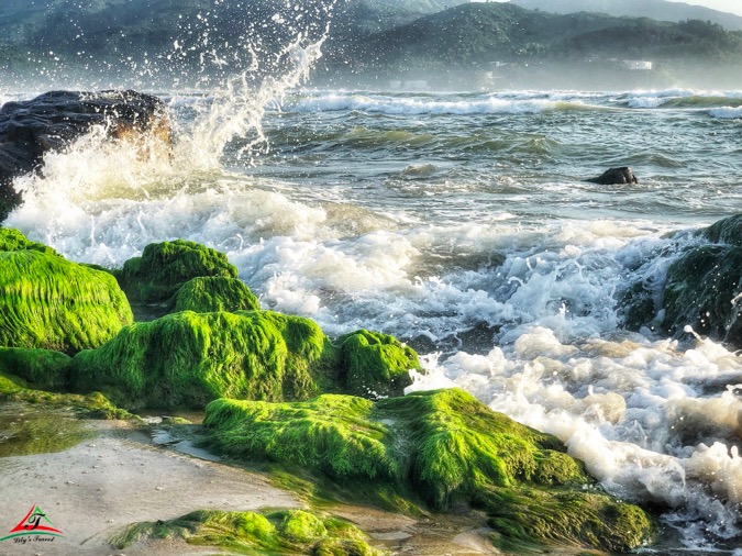 In Nam O, the landscape is not only blue sky, golden sand, immense sea but also very unique moss-covered rocks