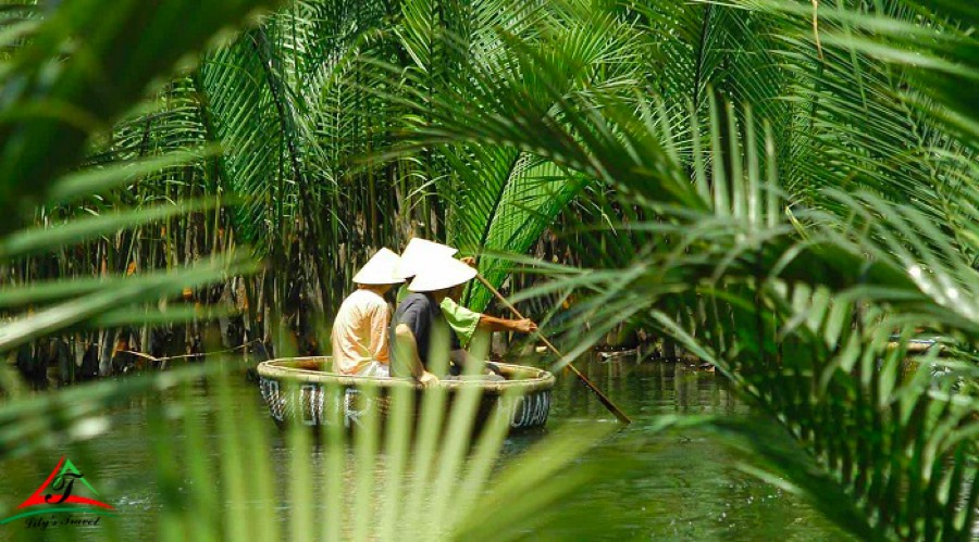 The wildness of Bay Mau coconut forest