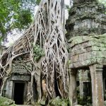 Day 13: Angkor Highlight