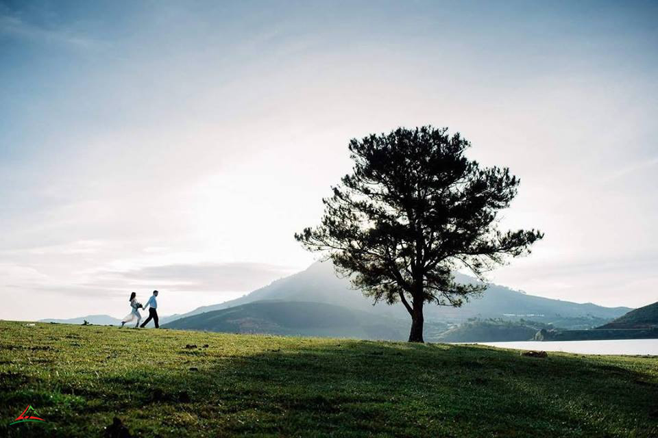 Lonely tree” Suoi Vang lake