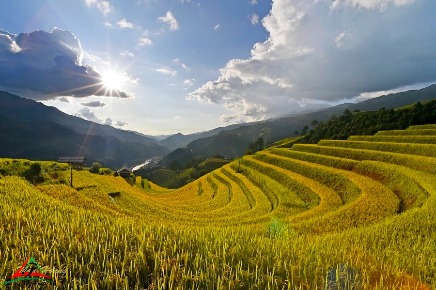 Mu Cang Chai - Yen Bai