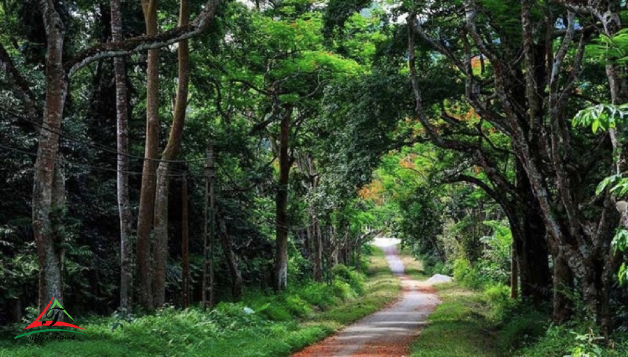 Ba Vi National Park tour