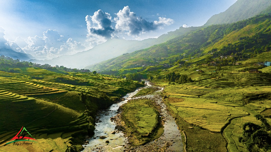 Sapa