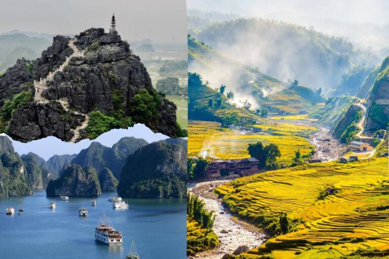 travel agency for vietnam visa