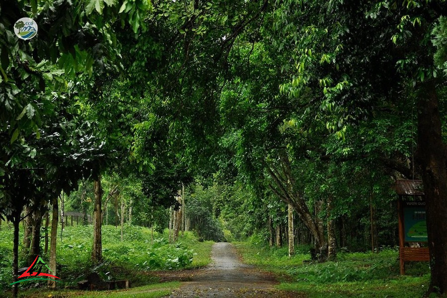 Cuc Phuong National Park