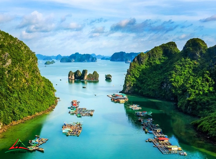 Vietnam sightseeing top 10: Places bring you the most beautiful scenery ...