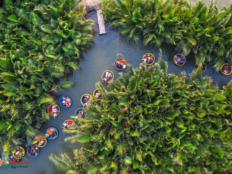 Coconut forest - one of the place to arrange a mice tourism