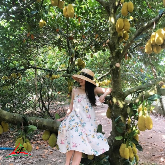 Trung An Fruit Garden