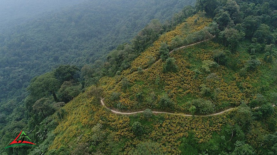 Ba Vi National Park