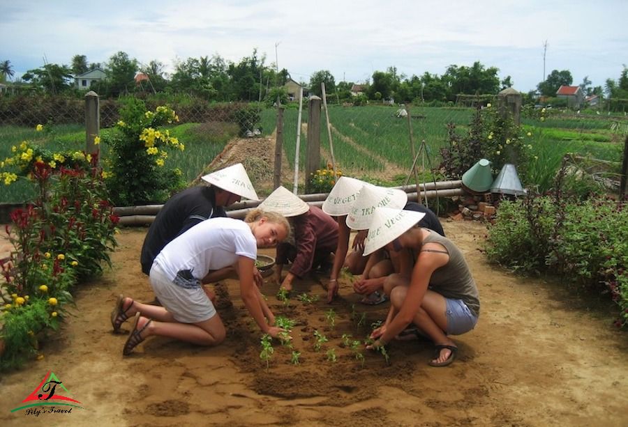 Farming experience tour in Da Nang