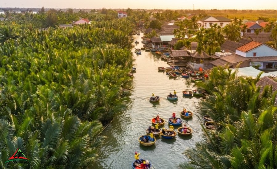 Bay Mau coconut forest