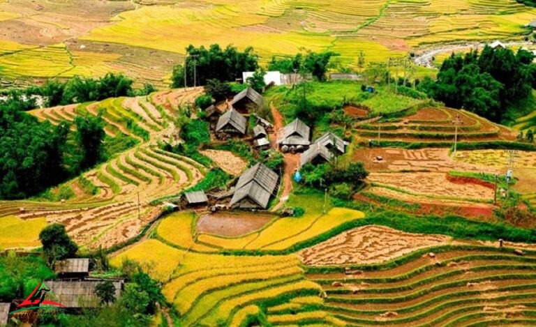 Ta Van Lao Chai's terraced fields