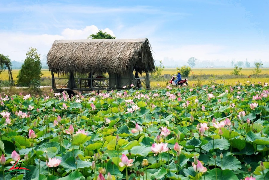 dong thap tourism