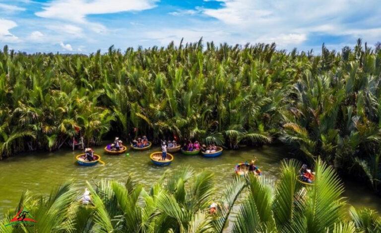 discover water coconut forest