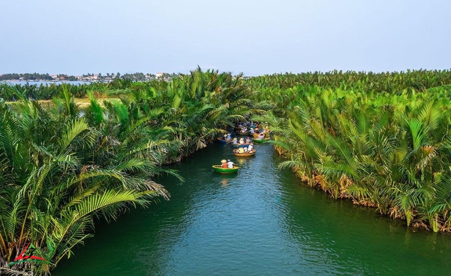 Bay Mau coconut forest in the sunny day