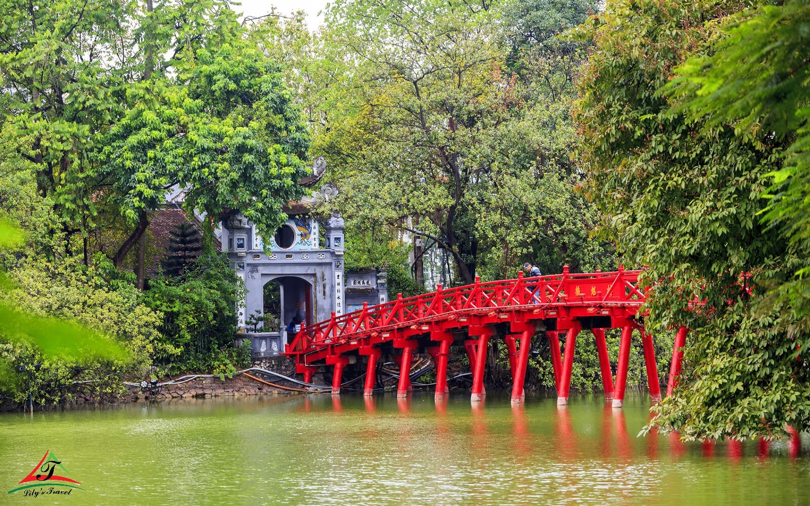 Cross Vietnam in a tour 10 days 9 nights departing from Hanoi