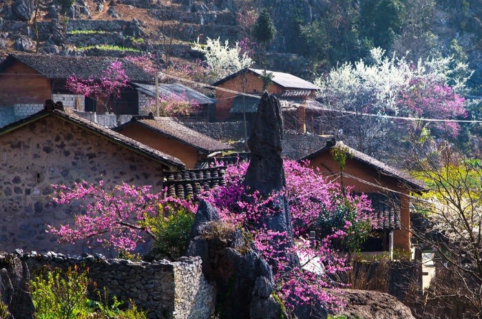 Sapa Climate in Spring