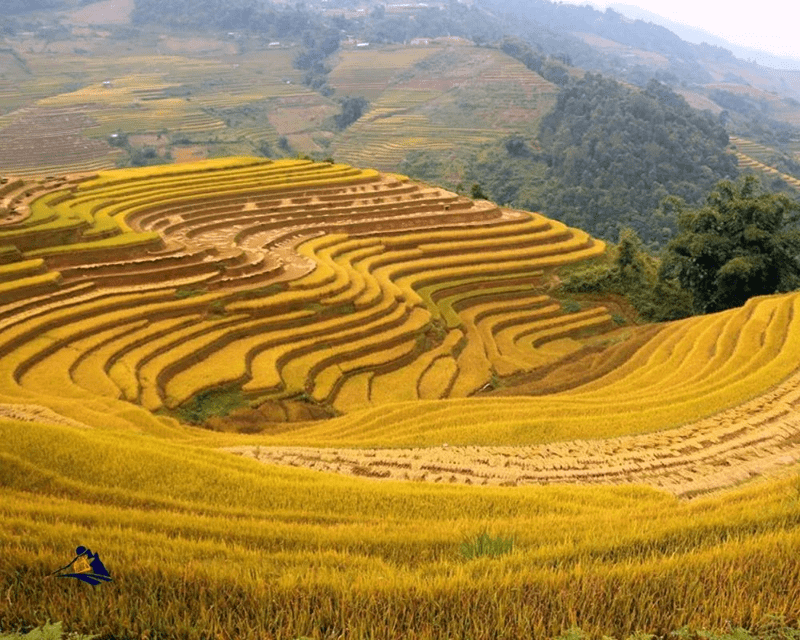 Sapa In Autumn 