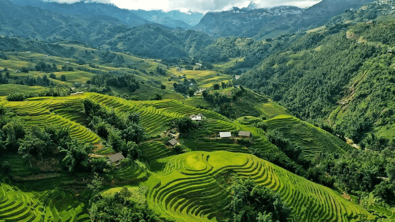 Now that you've explored Sapa's seasonal symphony, it's time to identify the best time to visit Sapa based on your travel desires