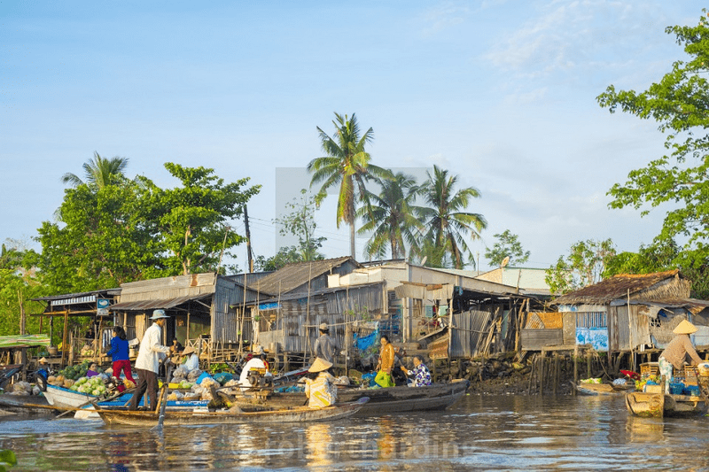 Why Should You Go from Ho Chi Minh to Can Tho by Boat