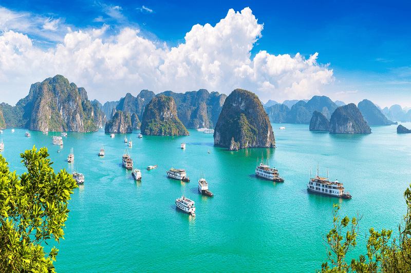 Spring is a good time to see Halong Bay refreshed. With fair weather, blooming landscapes, and a lot of activities, this place attracts huge numbers of visitors during this season.