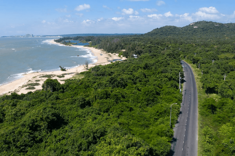 Explore Binh Chau National Forest