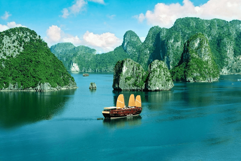 Go for a cruise in Bai Tu Long Bay