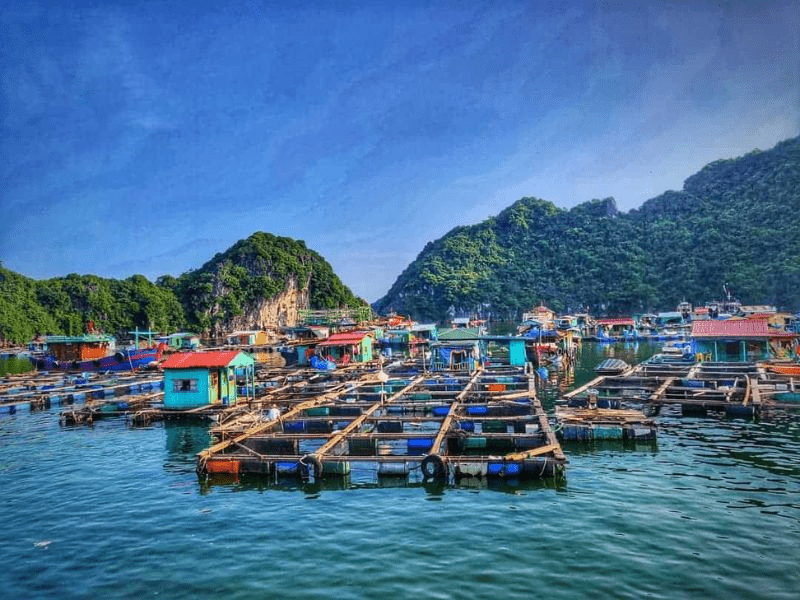 Experience Local Life in Cua Van Fishing Village