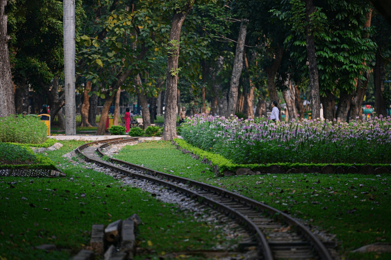 Thong Nhat Park offers a peaceful oasis amidst the vibrant city of Hanoi. Whether you're seeking relaxation, exercise, or a glimpse into local culture, this park has something to offer everyone. 