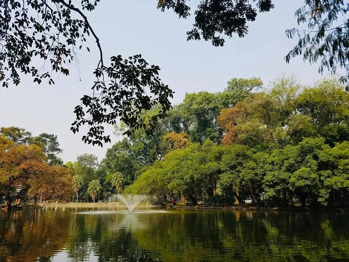 Stunning Hanoi Botanical Garden photos showcasing its peaceful charm