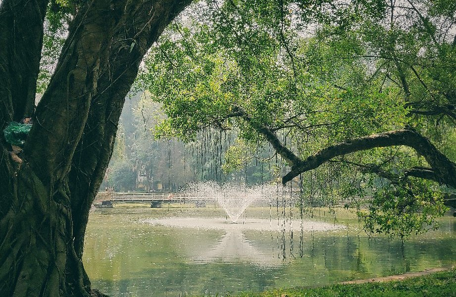 Hanoi Botanical Garden is the green lungs of Hanoi