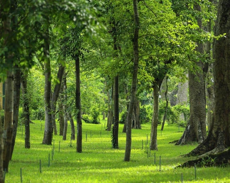 Beautiful Hanoi Botanical Garden photos that capturing its lush landscapes