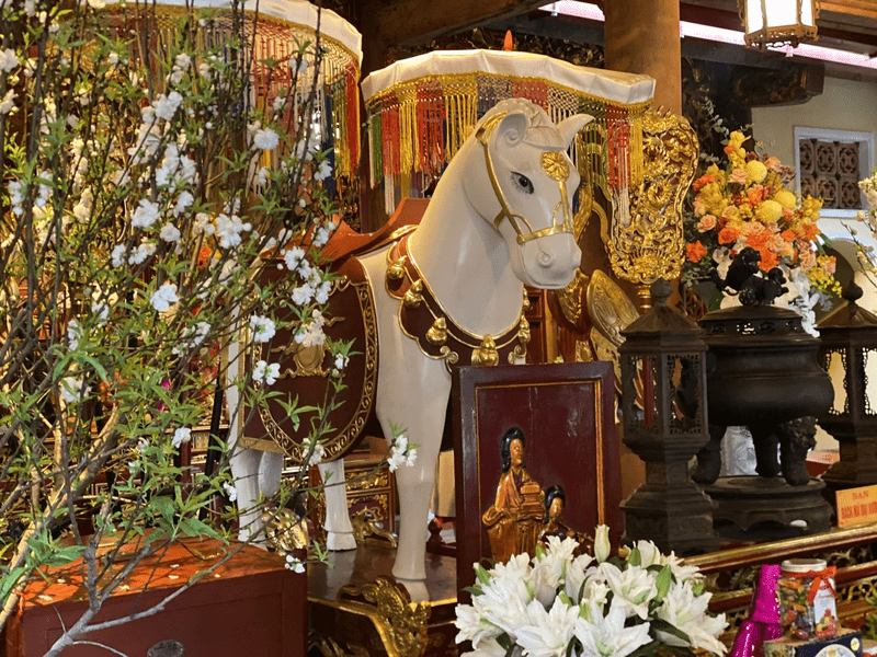 Visit Bach Ma Temple