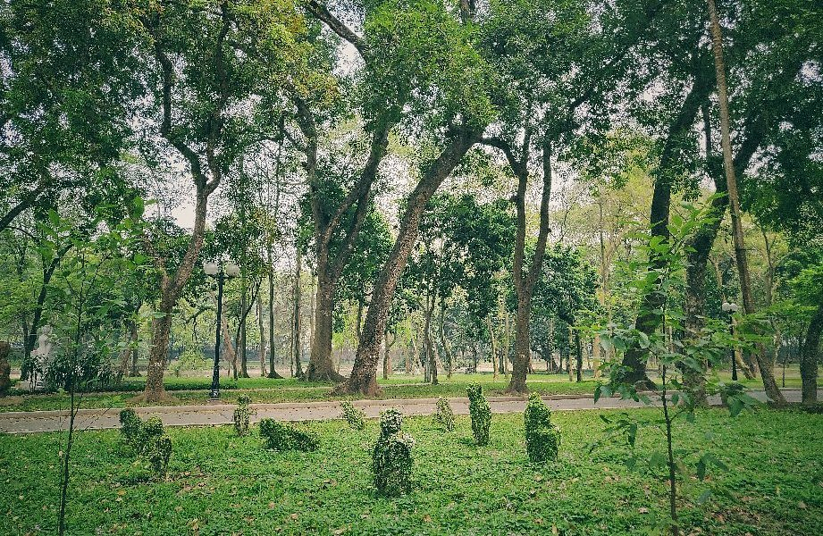 The Botanical Garden reflects the long history during French colonial period 