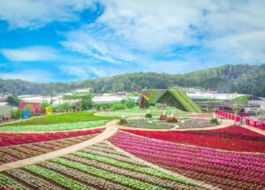 Van Thanh Dalat Flower Garden