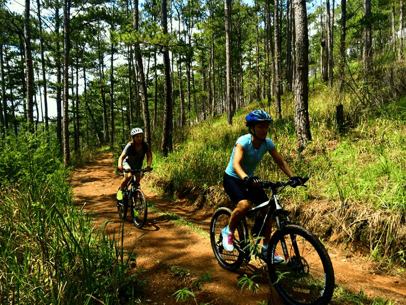 Try mountain biking