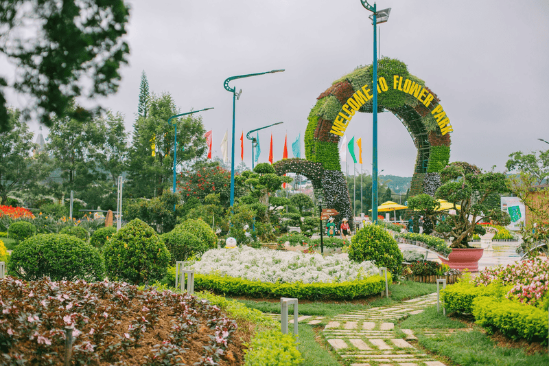 Indulge in the beauty of flowers in Dalat flower gardens