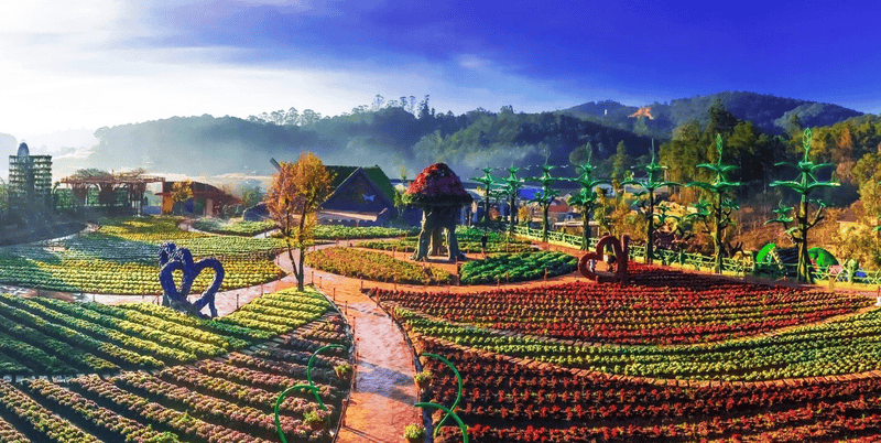 Overview of Dalat's Climate: What Makes It Unique?