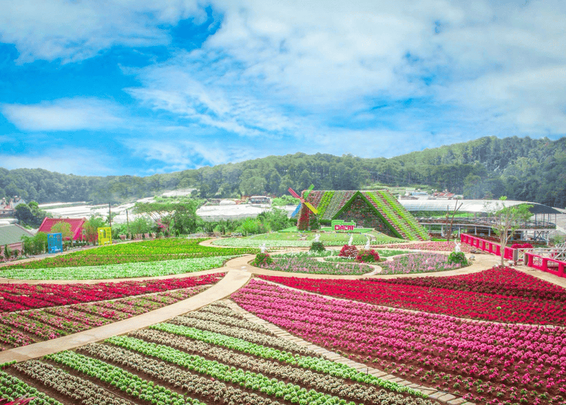 Van Thanh Flower Village