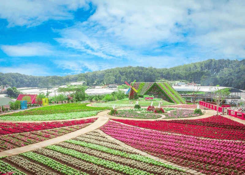 Dalat is the most attractive destination for any nature lover and those in love with flowers.